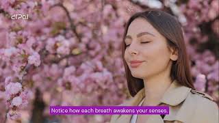 Elevate your self‑care ritual with DrPal’s AI‑powered morning experience