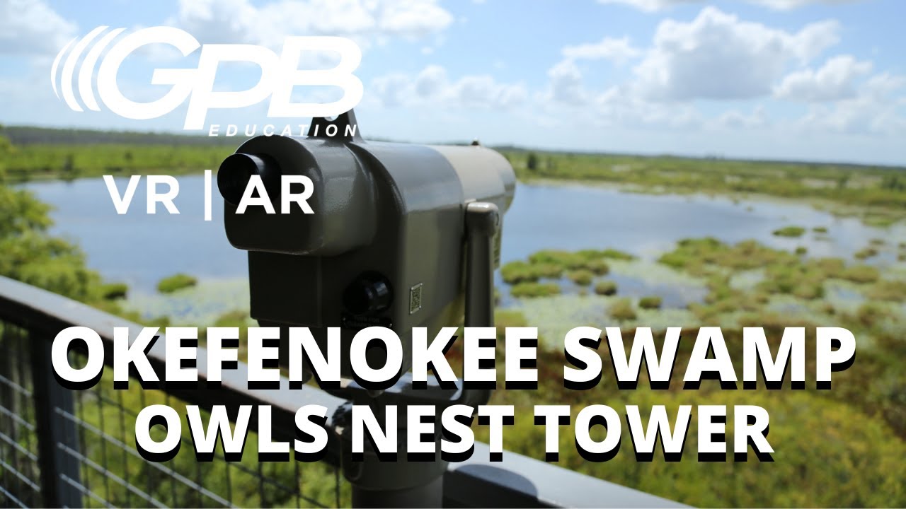 okefenokee swamp virtual tour