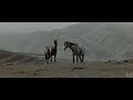 Д/ф &quot;Это лошади...&quot; (1965) [4K] реж. Толомуш Океев