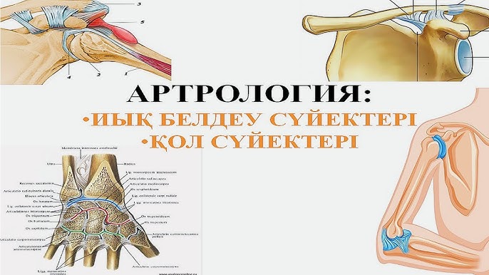 Поштадағы секс (порно видео) Даша Согалованың қатысуымен порно видео