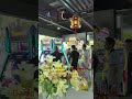 China Game Hall Corporation, Chinese game console manufacturer #gamingconsole #clawmachine