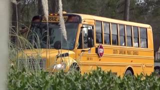 Various School Buses 1-26-17