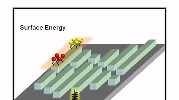 Bio-Inspired Antifouling Strategies: Supplemental Video 1
