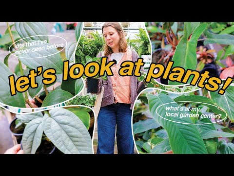 come plant shopping