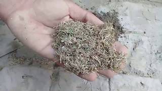 Best Substitute of Coco Peat and Coco Coir | Don't Have Cocopeat Use This