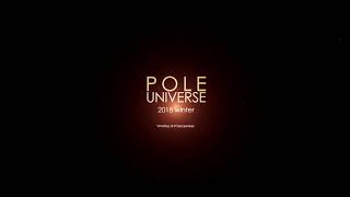 Pole art. 2wei-survivor