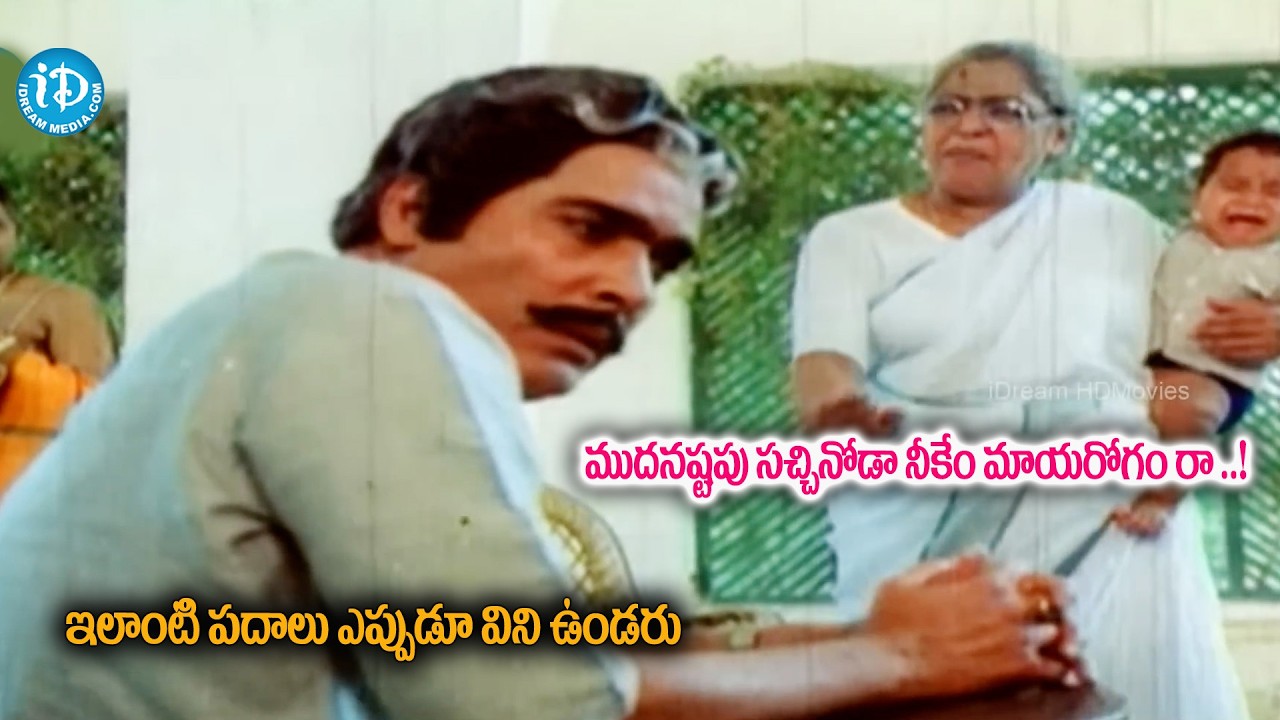 ఇలాంటి తిట్లు ఎప్పుడూ విని ఉండరు || Nirmallam Mass Warning to Rao Gopal Rao |  Rustum Telugu  Movie