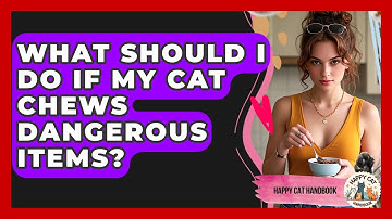 What Should I Do If My Cat Chews Dangerous Items? - Happy Cat Handbook