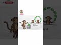Banks Explained with Bananas: What Is Interest And How Does It Works? #finance #bank #viral #shorts