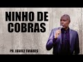 NINHO DE COBRAS  -  PR  JUAREZ TAVARES