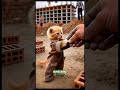 A beautiful story of a kitten. He is ready to change his life#youtubeshorts #animals #kitten