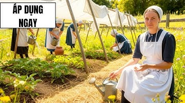 20 Mẹo Làm Vườn Của Người Amish Giúp Cây Trồng Vượt Qua Nắng Nóng Mùa Hè