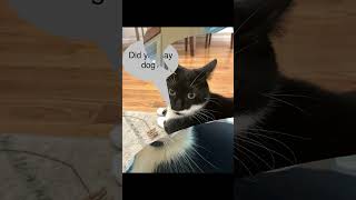 Giving my can speech bubbles (Part 3)