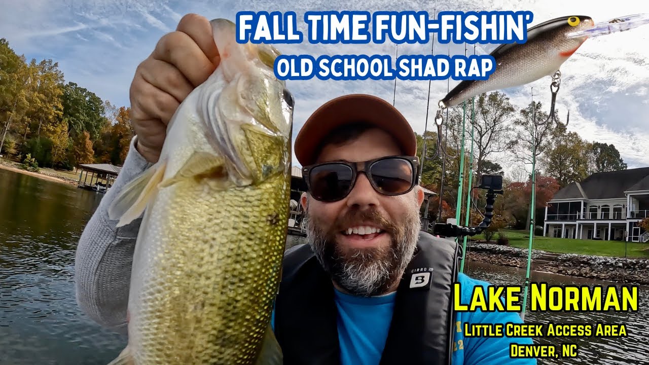 Bass Fishing Around Schooling Bait with the Rapala Shad Rap – Lake Norman – Little Creek Access Area