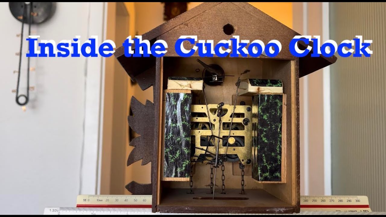 Inside the Cuckoo Clock there is something to think about... #cuckoo # ...