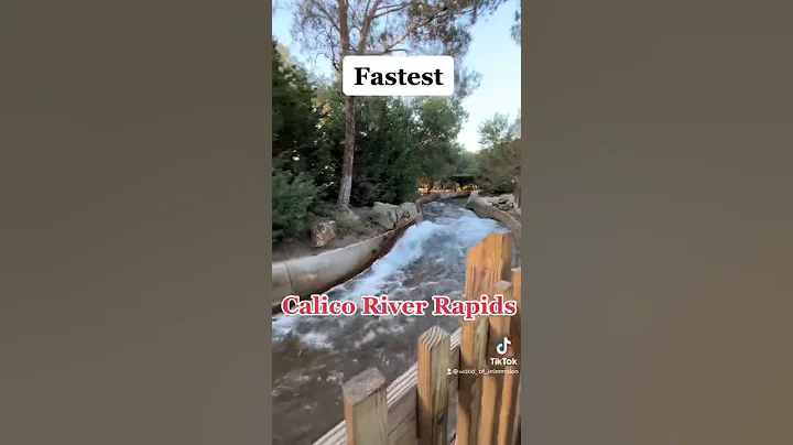 Fastest vs Slowest moving lines at Knotts Berry Fa...