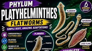Phylum Platyhelminthes Explained🪱| Flatworms (Planaria)|Complete Overview| #zoology #biology #phylum