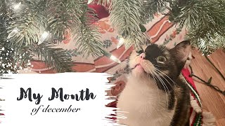 My Month of December | 2025