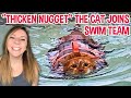 Thicken nugget the cat joins swim team to get healthier