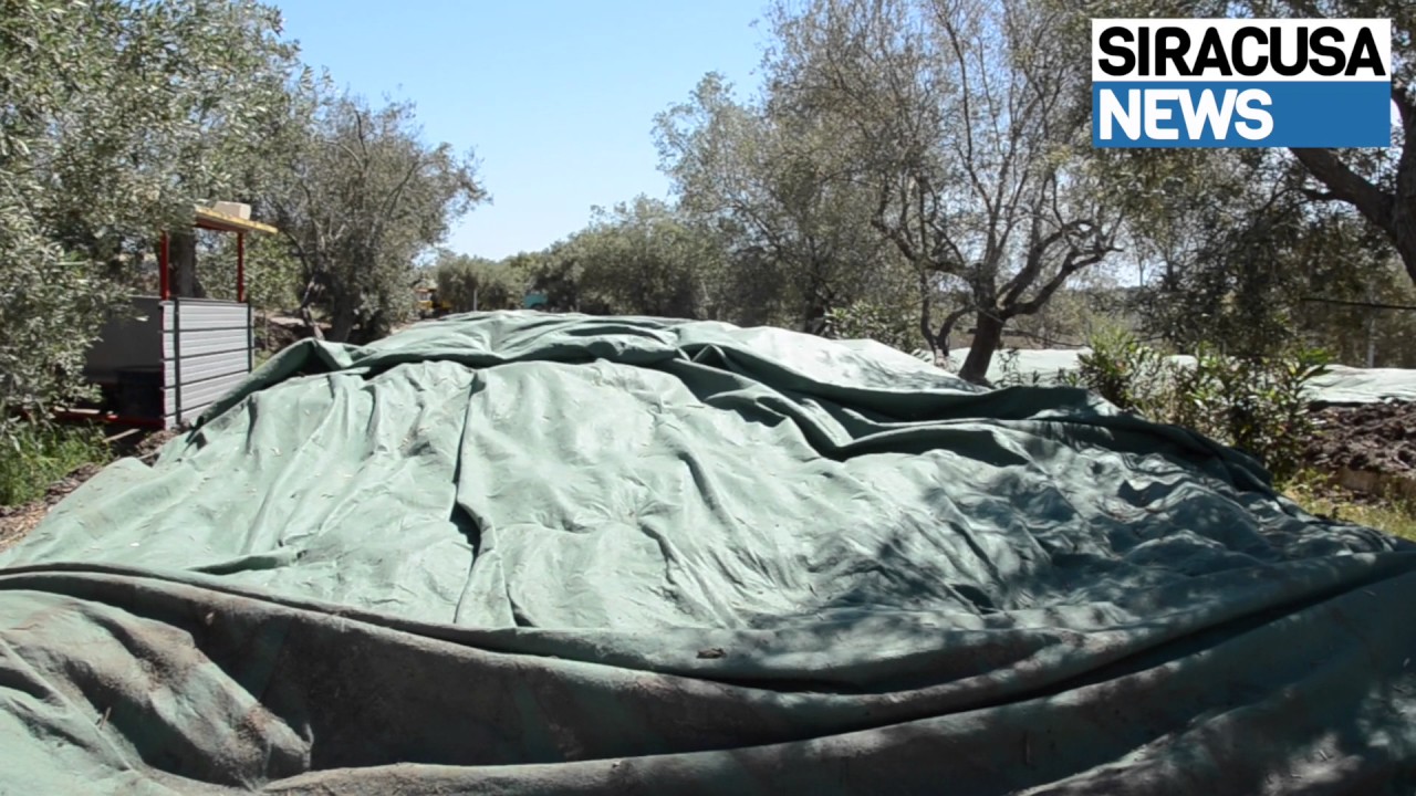 Intervista Irecom, compost dai fanghi di depurazione