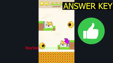 Save the Dog LEVEL 437 - Gameplay Walkthrough Android IOS