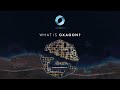 What is oxagon