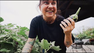 The trick to eating real food (cook garden to table dinner with me) | VLOG