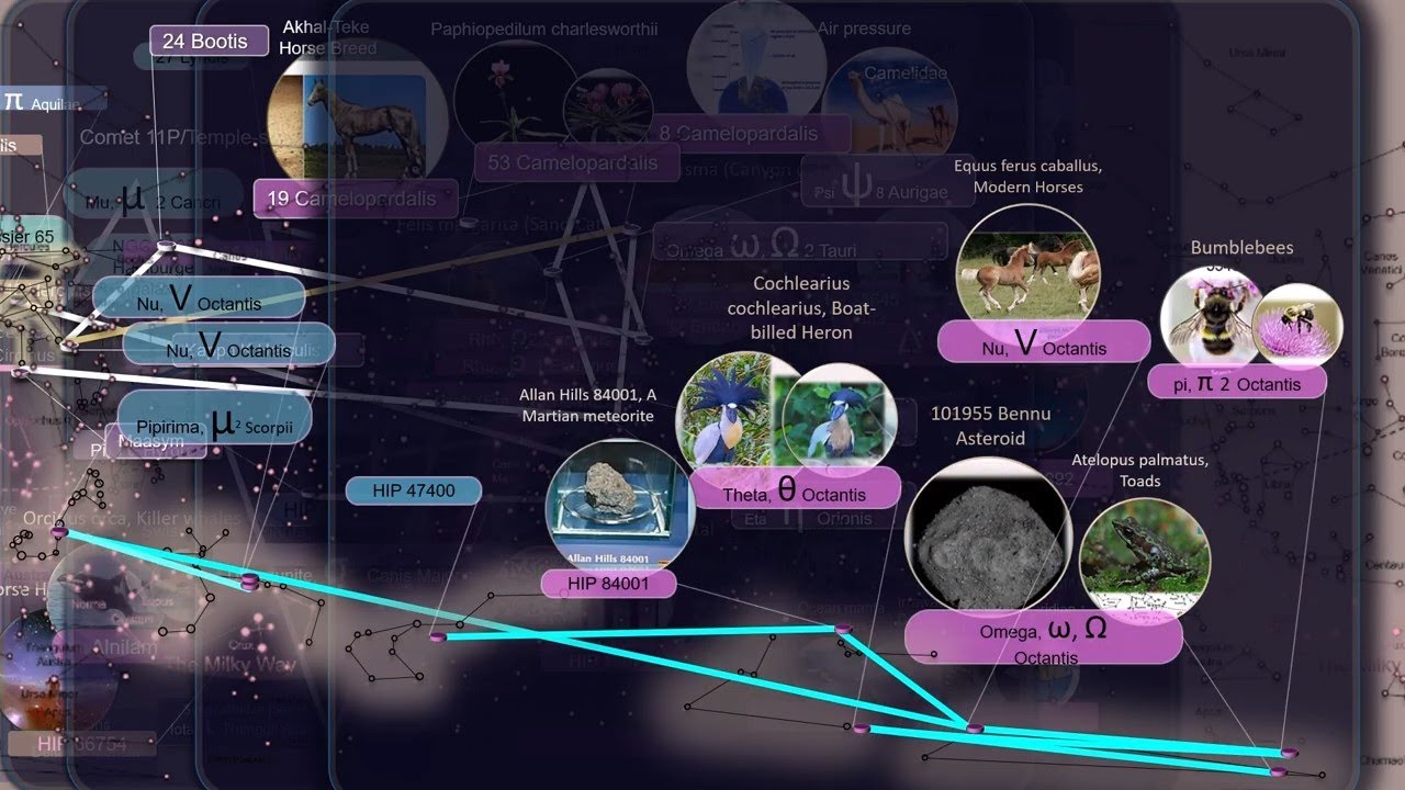 Octans Constellation stars system (6)