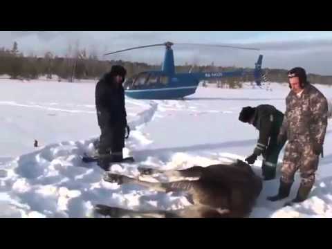 Топ-25 Самых популярных оздоровительных занятий для новичков