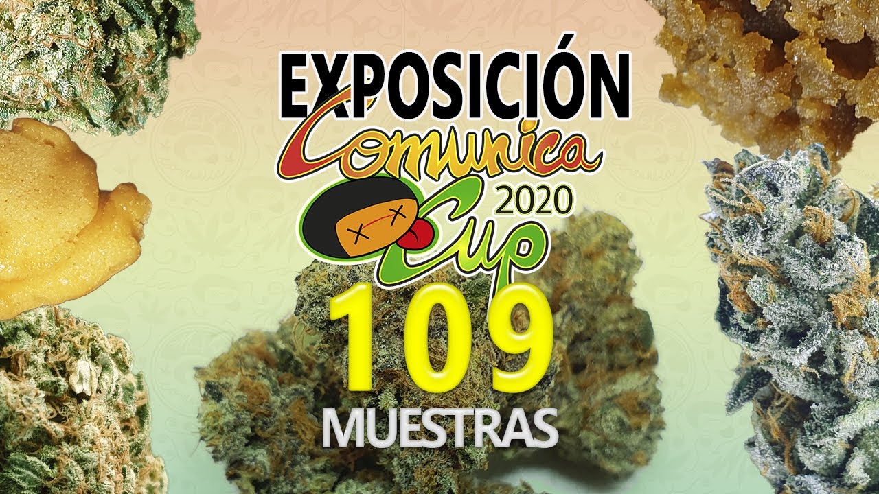 ESPECTACULAR EXPOSICIÓN 109 MUESTRAS COMUNICA CUP 2020