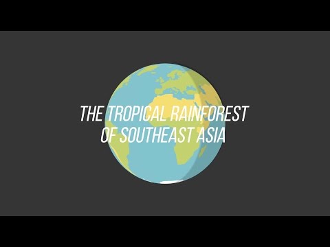 TRCRC "What We Do" - video from TRCRC