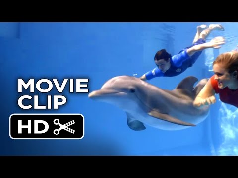 Dolphin Tale 2 Movie CLIP - Bethany and Sawyer Swim With Winter (2014) - Morgan Freeman Drama HD