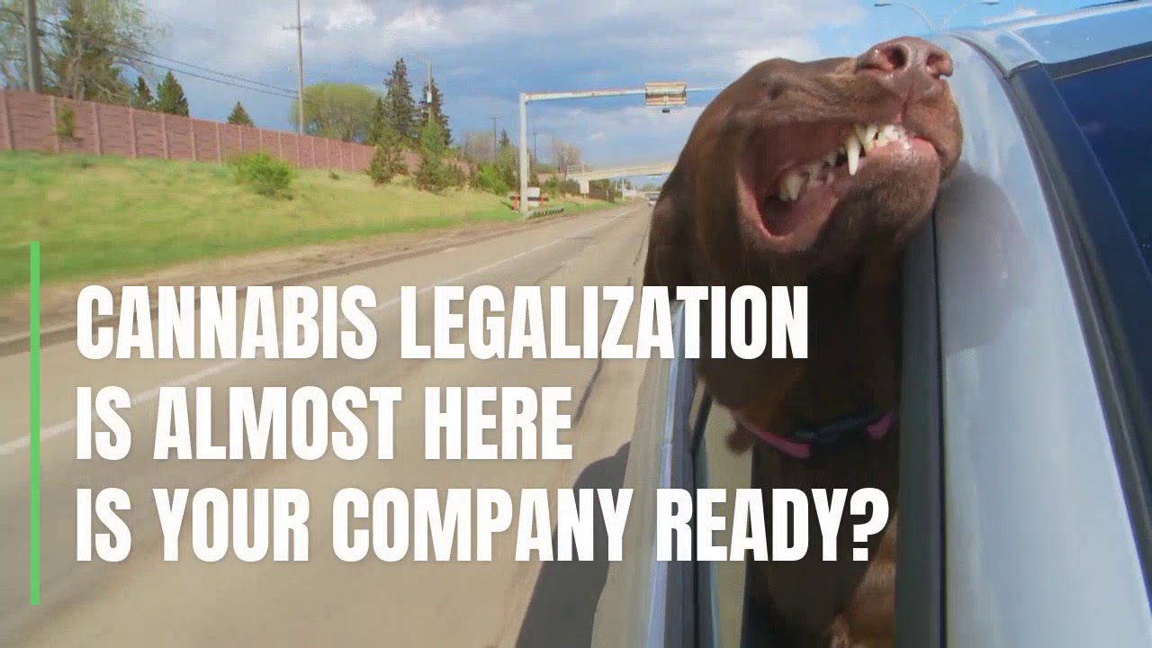 Start your next adventure! Join the NJCBA today!