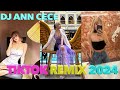 Tiktok dance remix 2024 dj ann cece viral tiktok disco no copyright music