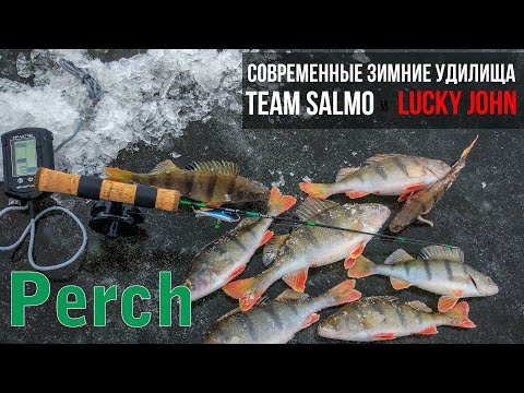 Vídeo: Pike Perch Para Gourmets. Biênio Com Recheio