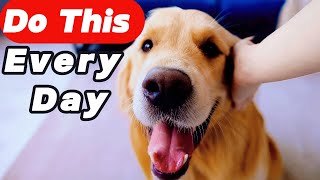 12 Scientific  Ways to Get Your Dog Love You More❤️