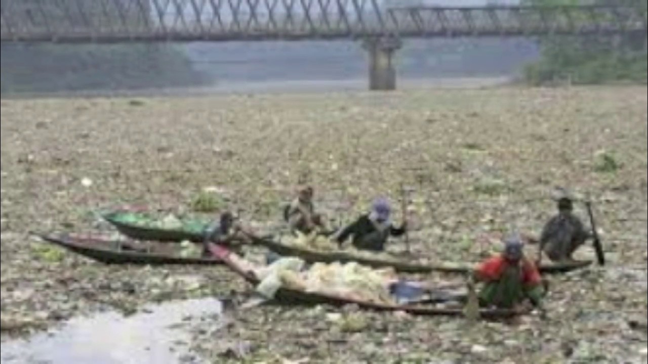 Water Pollution YouTube