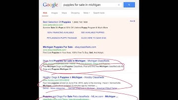 Adding Title and Meta Tags to your HTML document