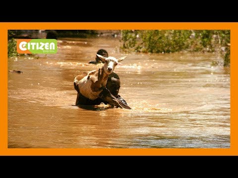 8 people killed by floods in Turkana and Wajir