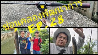 ช่อนคลองพัฒนาการ (EP.28)