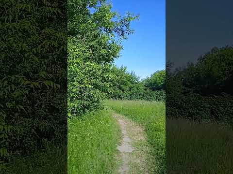 Bestglamp Лесная Поляна