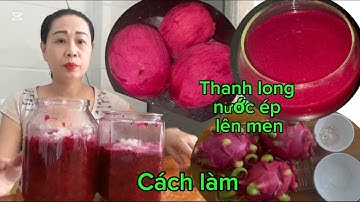 Nhà có thanh long đừng ăn đem đi làm cách này nước ép thanh long lên men uống ngon hơn