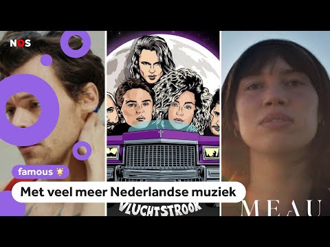 Video: Singer herschrijft haar beroemde nummer voor onderdakhonden