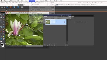 Photoshop Elements Tutorials- Escape A Dialog Box