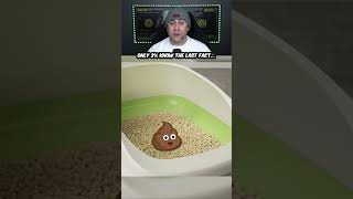 10 Cat Facts You Need To Know