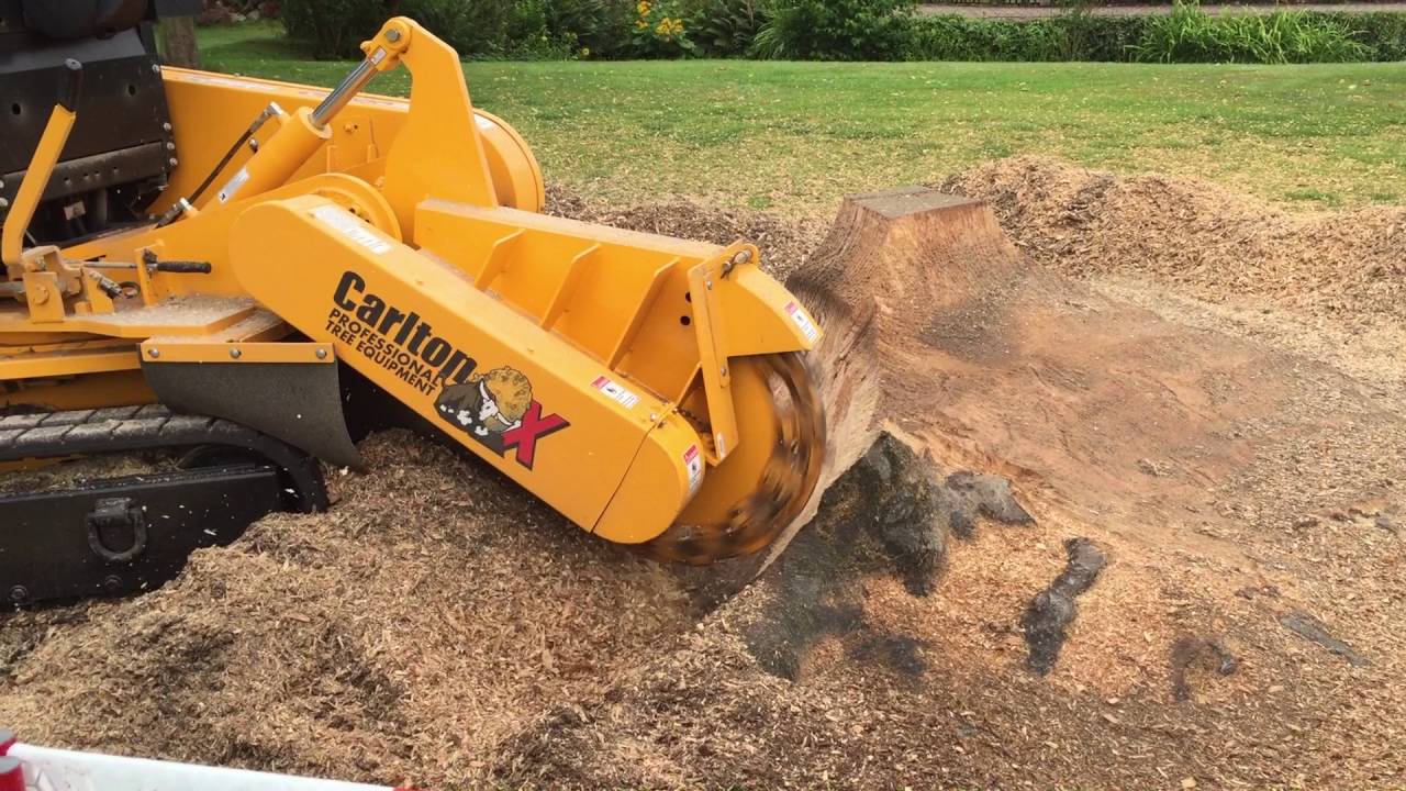 Tree Stump Grinding Clearing The Mess YouTube