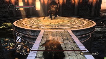Dark Souls 2 Dragon Rider One Shot with Hexes