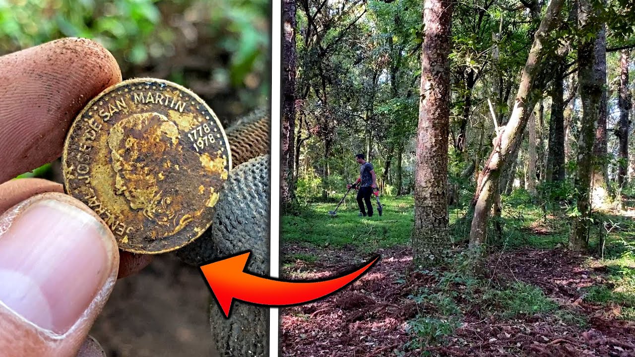 Caça às MOEDAS RARAS na Floresta - Detectorismo Raiz