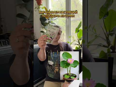 Как думаете, цветок