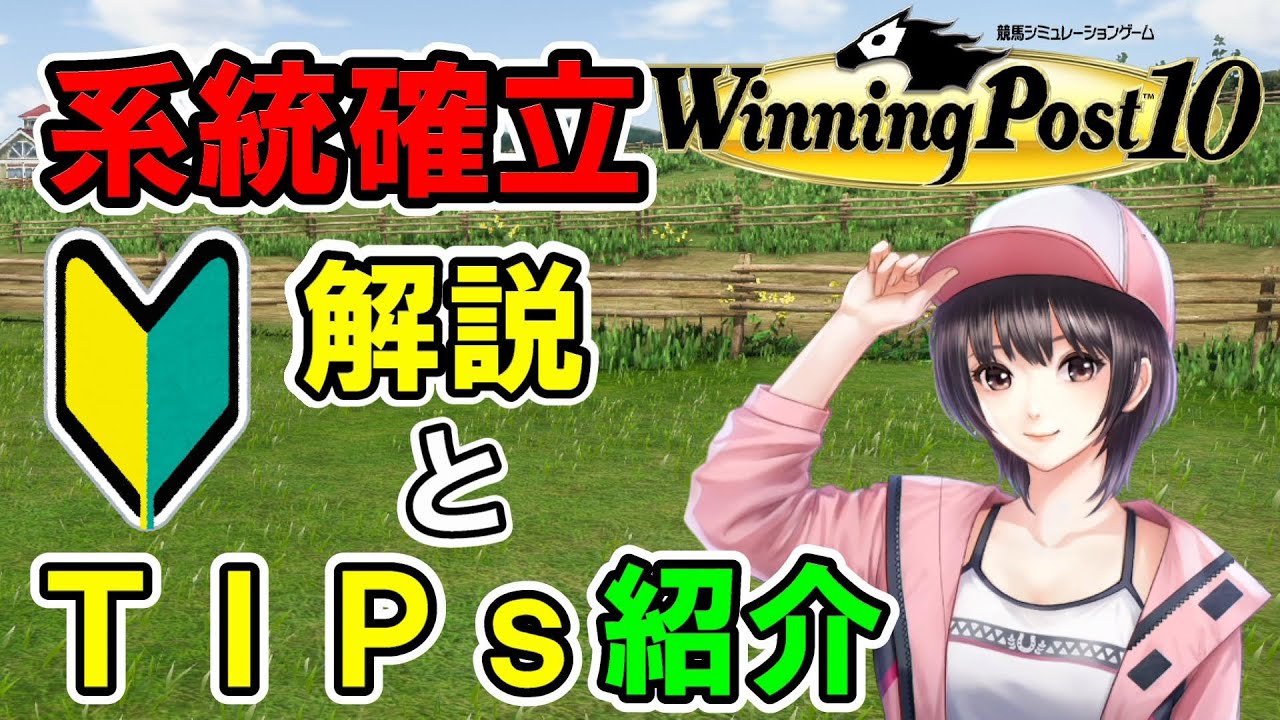 【ウイニングポスト10】初心者向け系統確立について【解説】